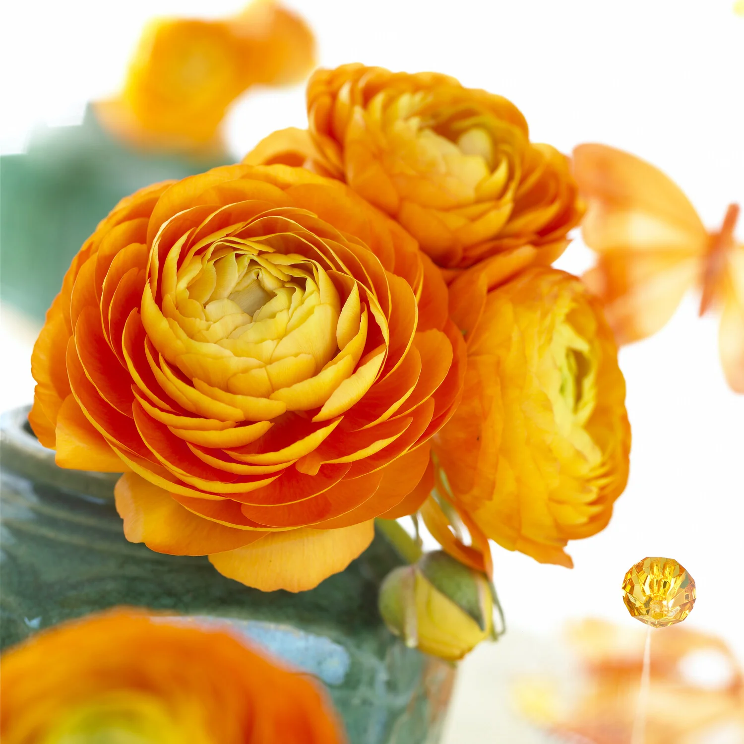 10 Renoncules oranges - Image 4