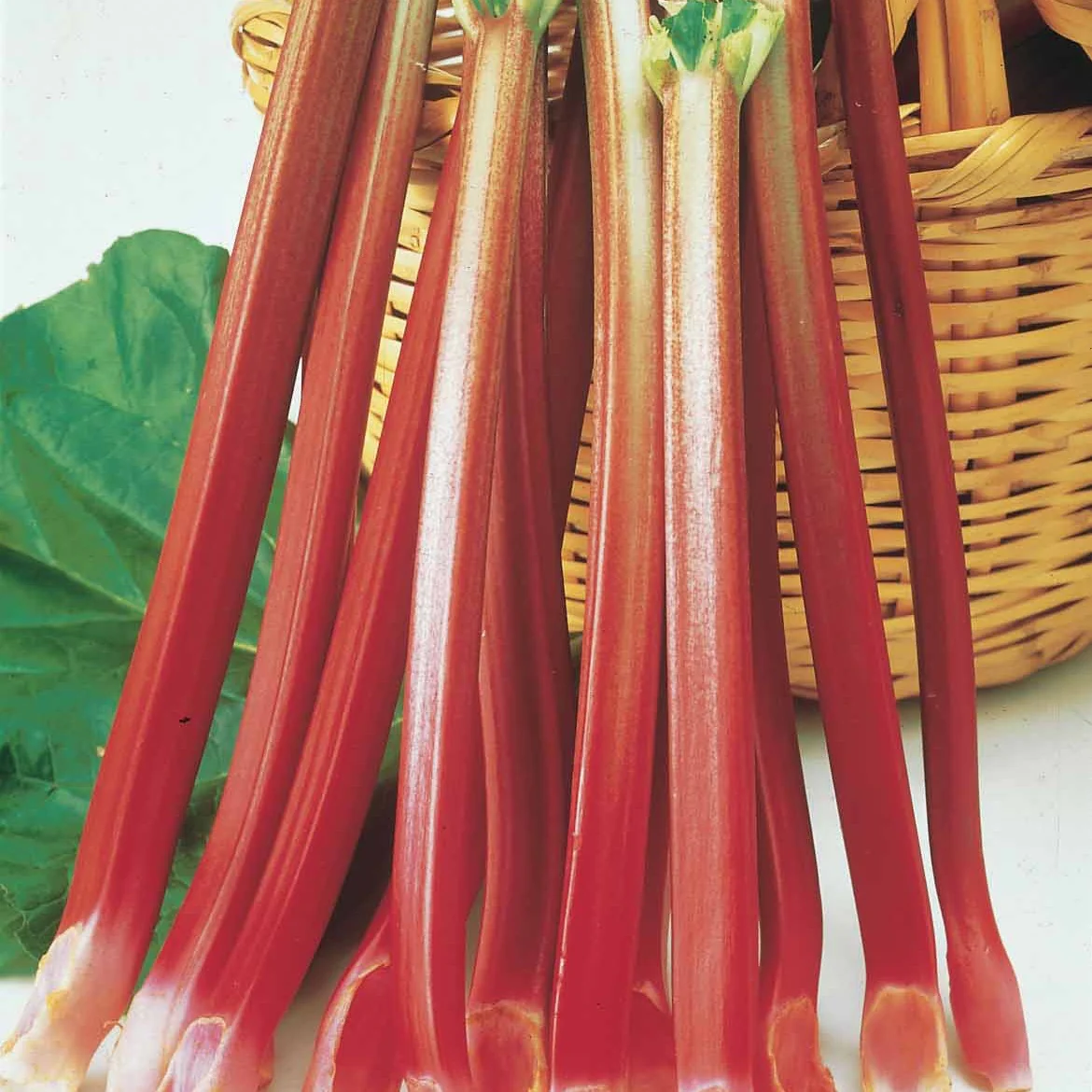 6 Rhubarbes - Image 3