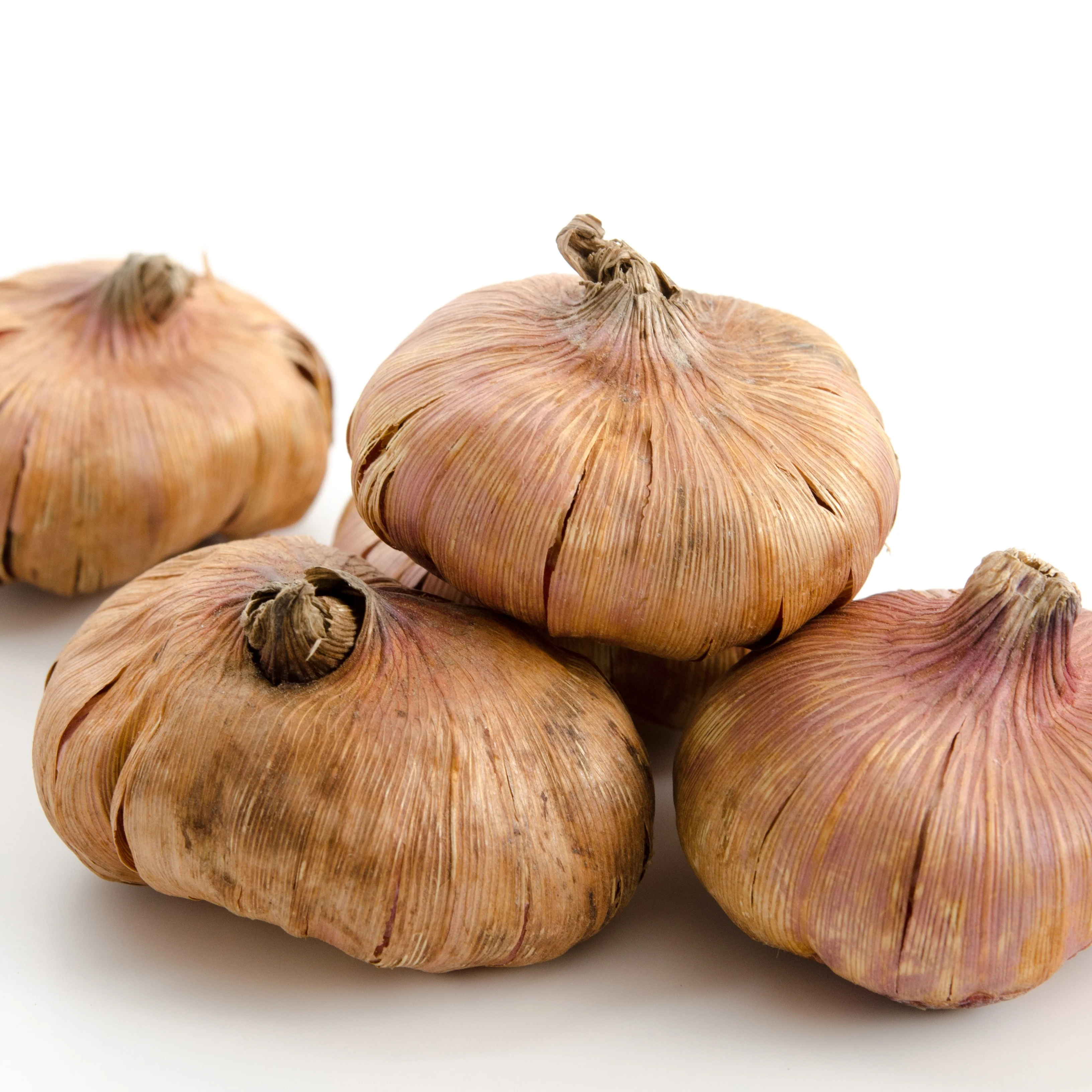 25 Glaïeuls frisés en mélange - Image 3