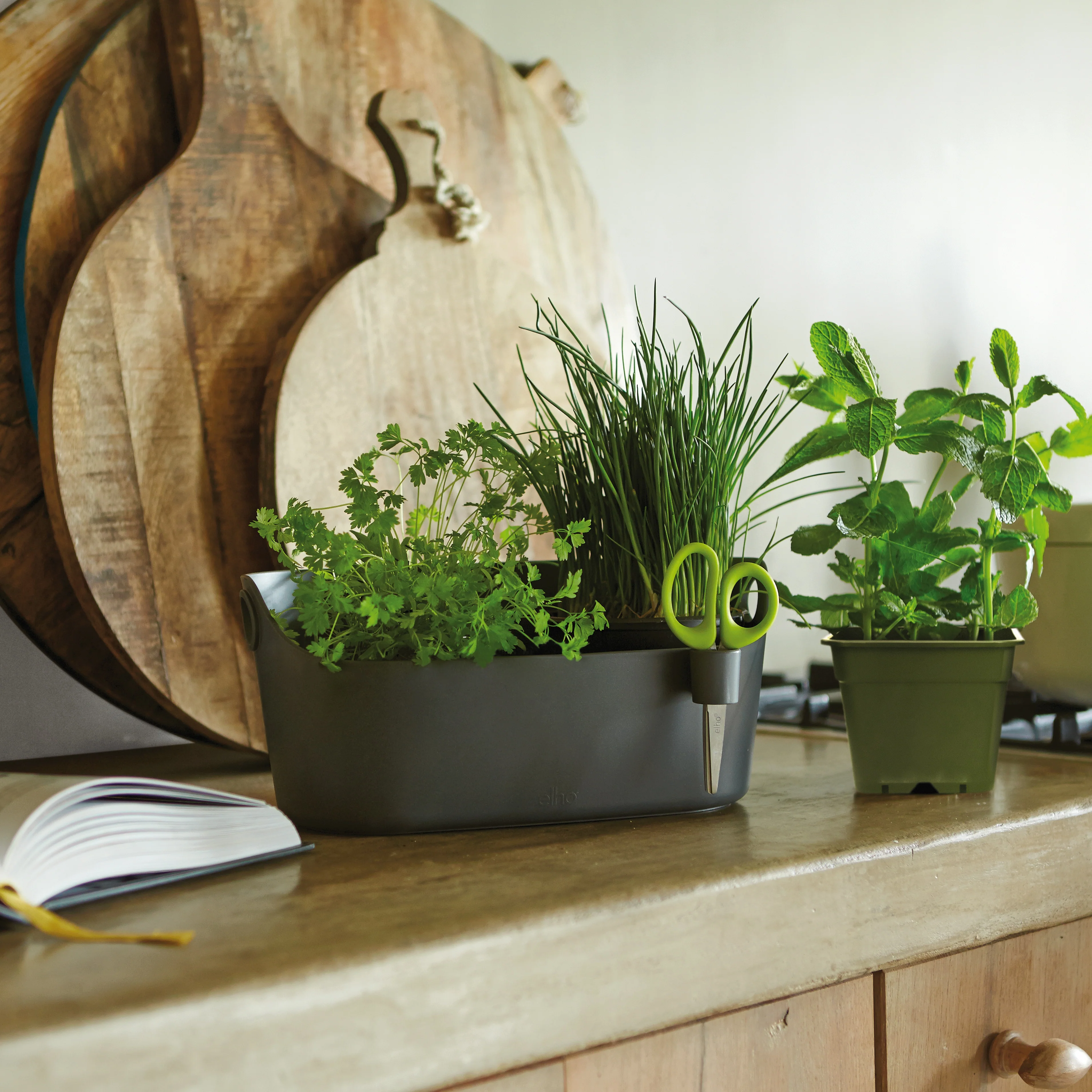 Cache-pot Brussels Herbs Station anthracite ELHO - Image 4