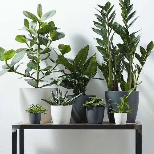Cache-pot Brussels Round anthracite ELHO - Image 14