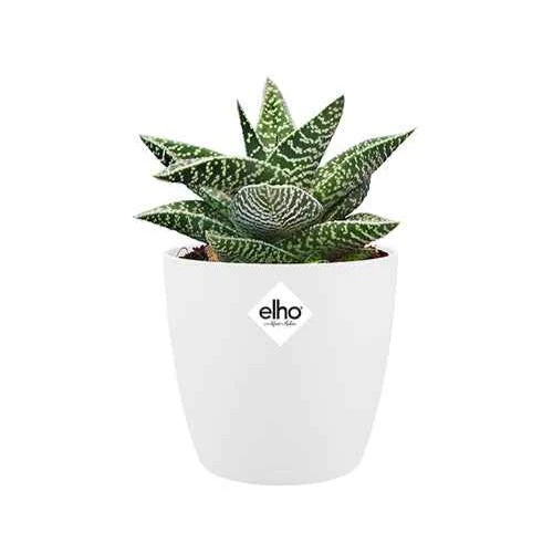 Cache-pot Brussels Round blanc ELHO - Image 9
