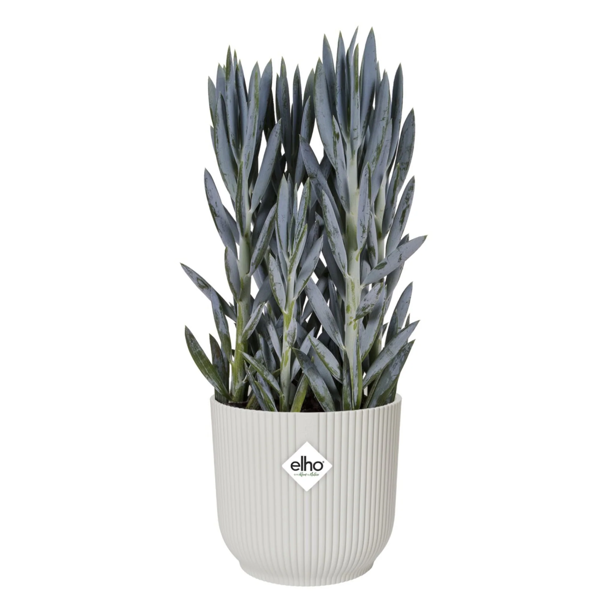 Cache-pot Vibes fold Blanc soie ELHO - Image 7