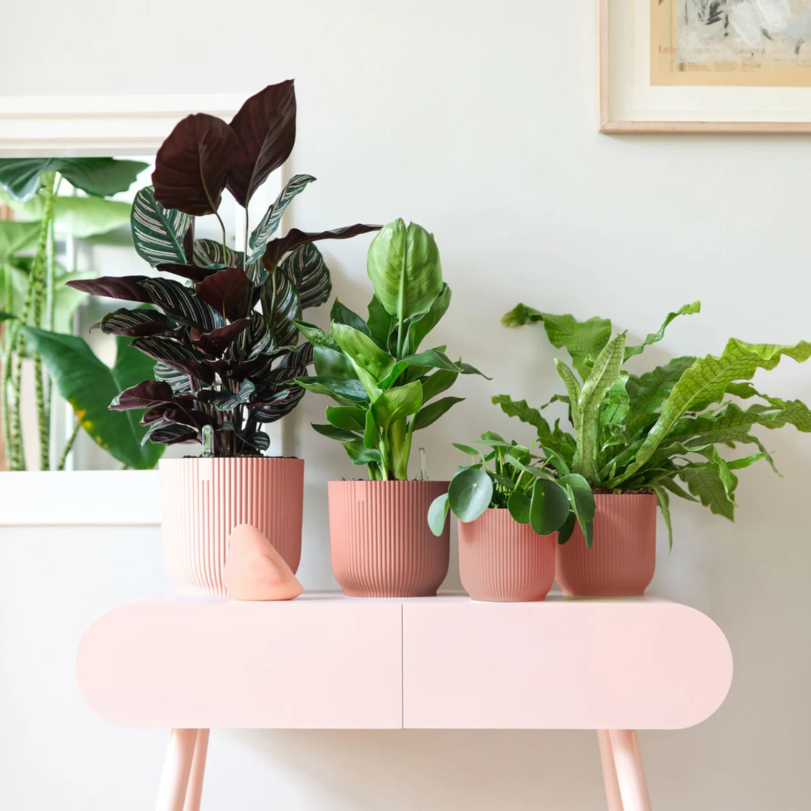 Cache-pot Vibes fold Rose poudré ELHO - Image 3