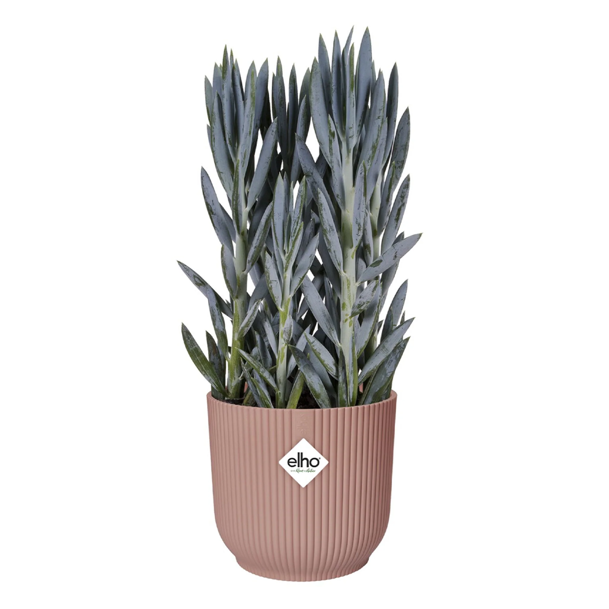 Cache-pot Vibes fold Rose poudré ELHO - Image 7