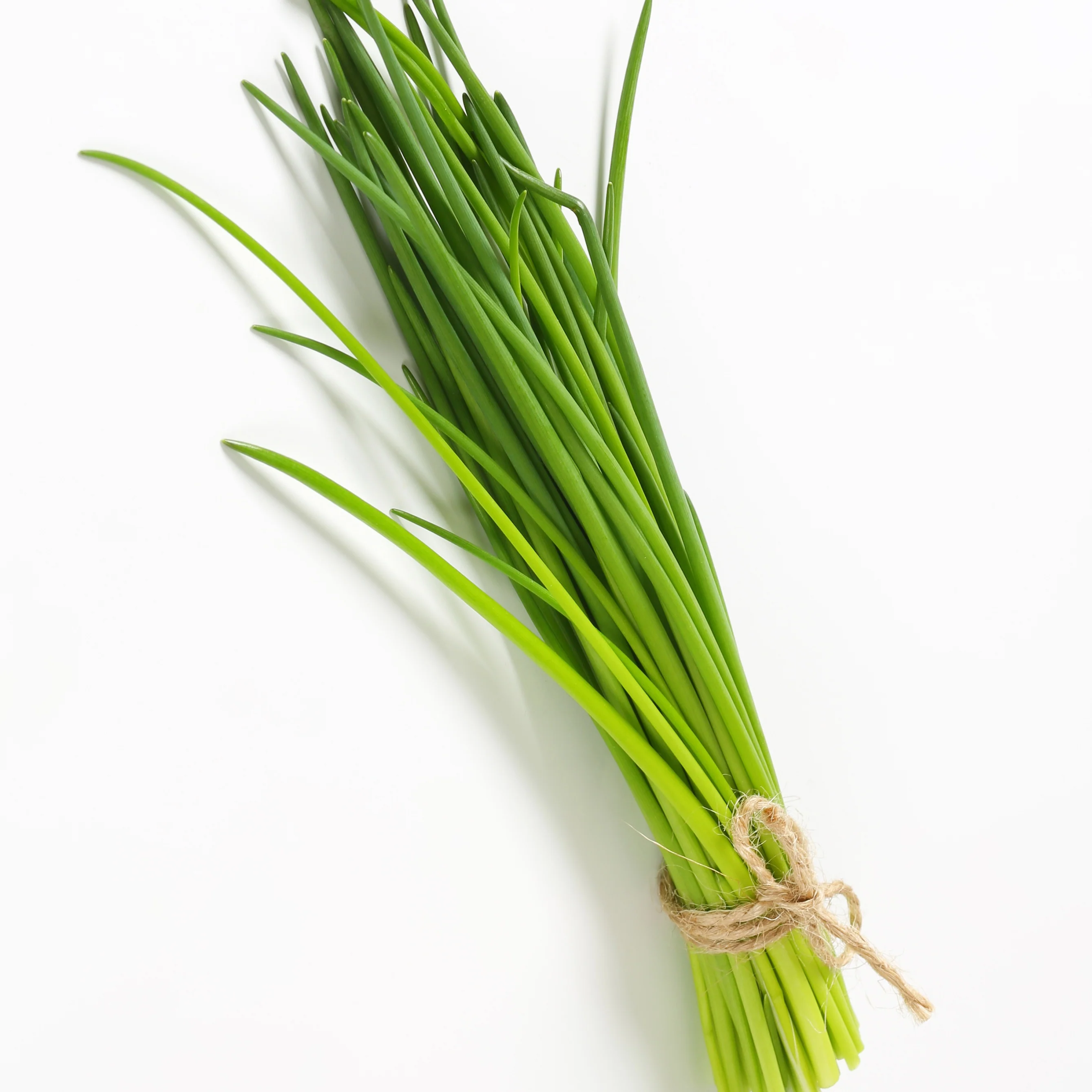 Collection de 4 Plants Aromatiques basilic, ciboulette, persil, thym - Image 3