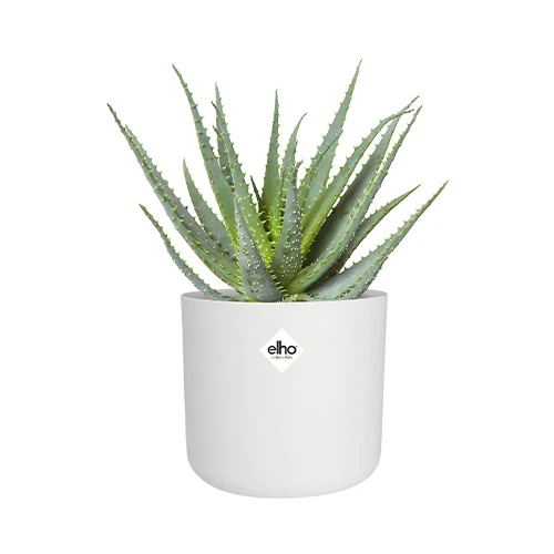 Elho Cache-pot B for soft rond blanc - Image 2