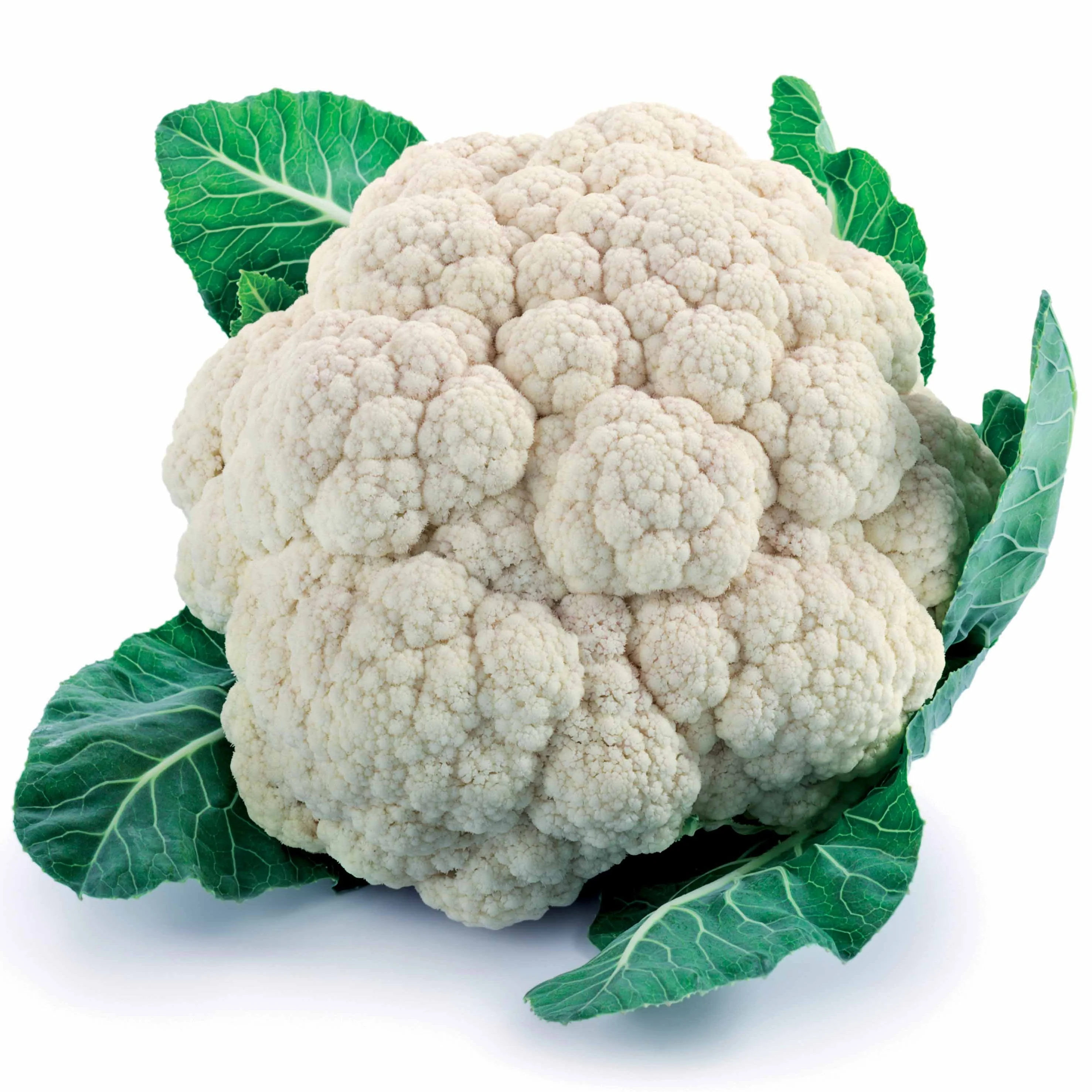 Chou-fleur Plana F1