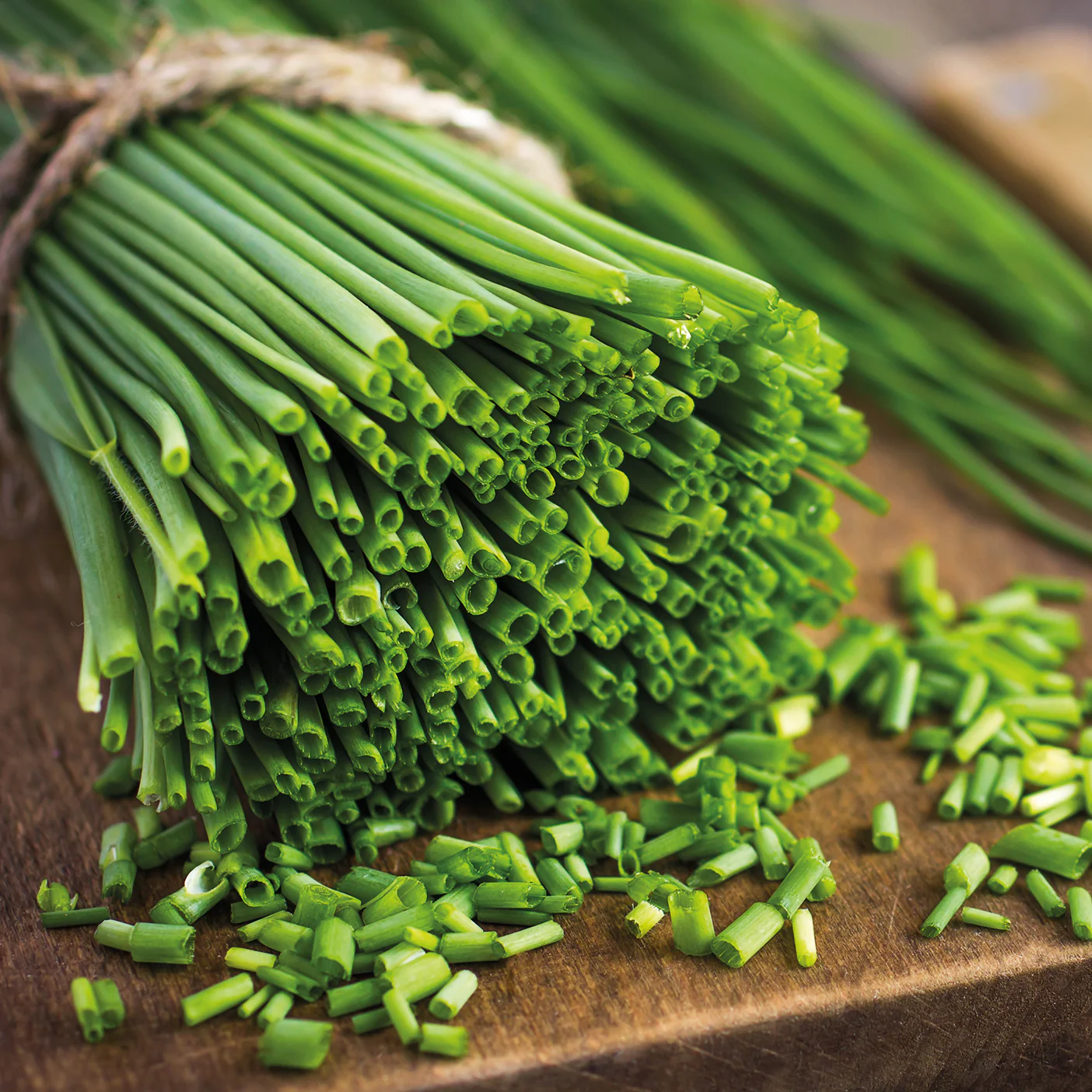 Collection de fines herbes : Persil, Basilic, Cerfeuil, Ciboulette - Image 5