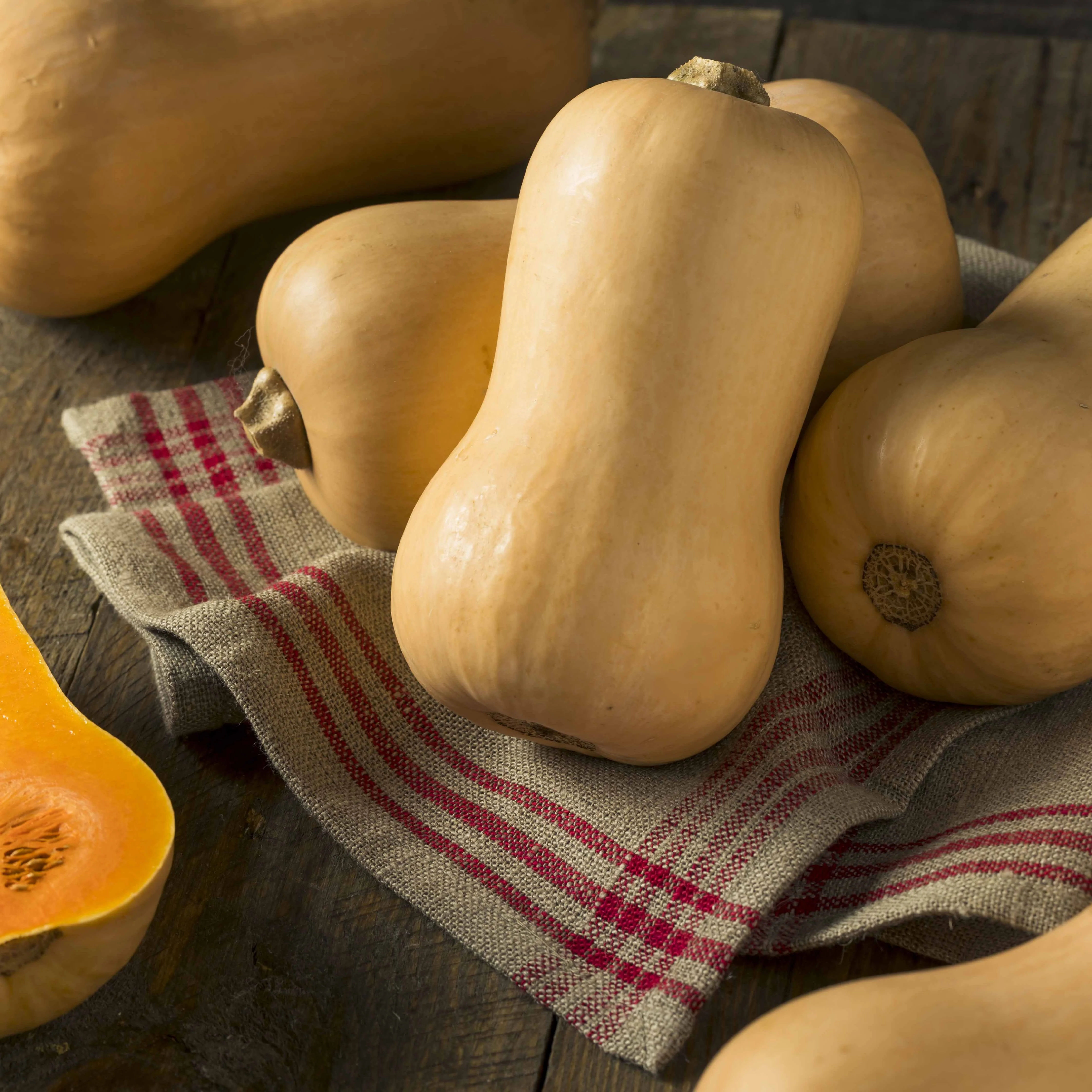 Courge Butternut Hercules F1