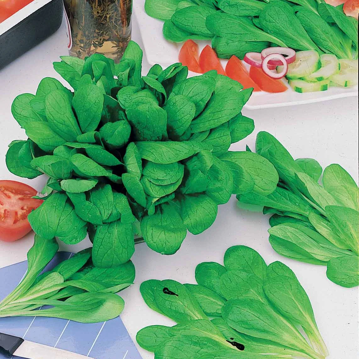 Mâche Verte d'Etampes (30 g)