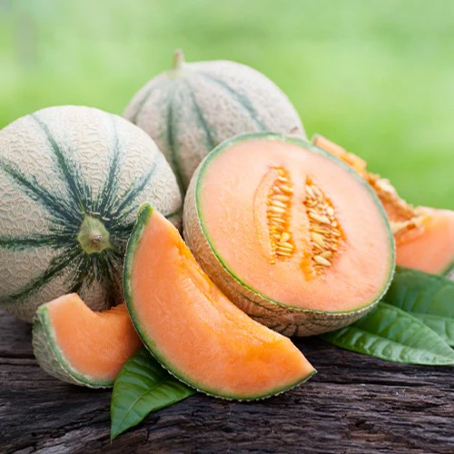 Melon Cantaloup charentais