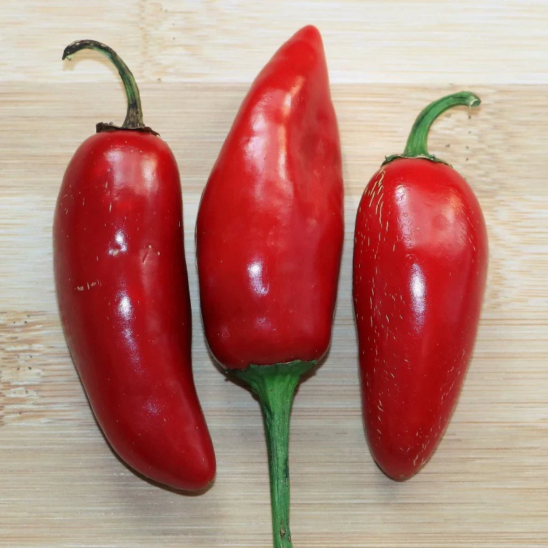 Piment Jalapeno mexicain BIO - Image 2