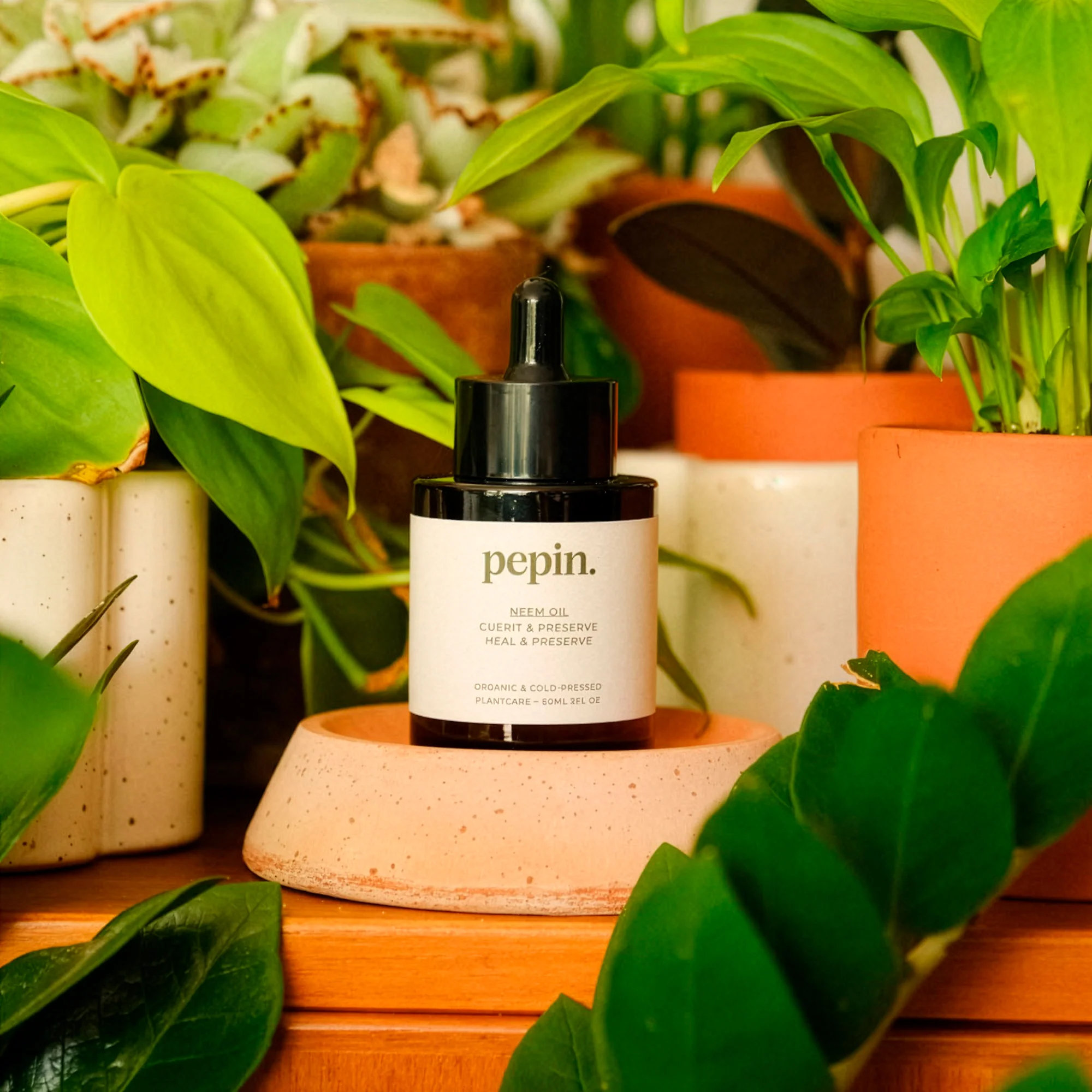 Huile de Neem insecticide naturel - Image 4