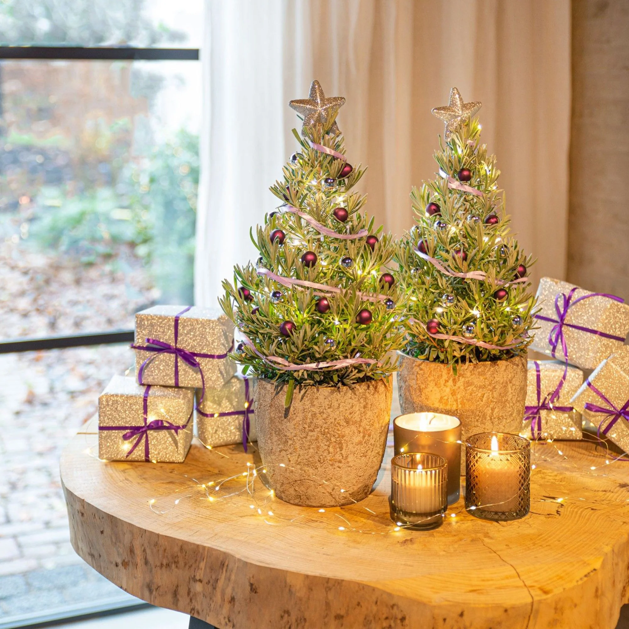 Lavande de Noël