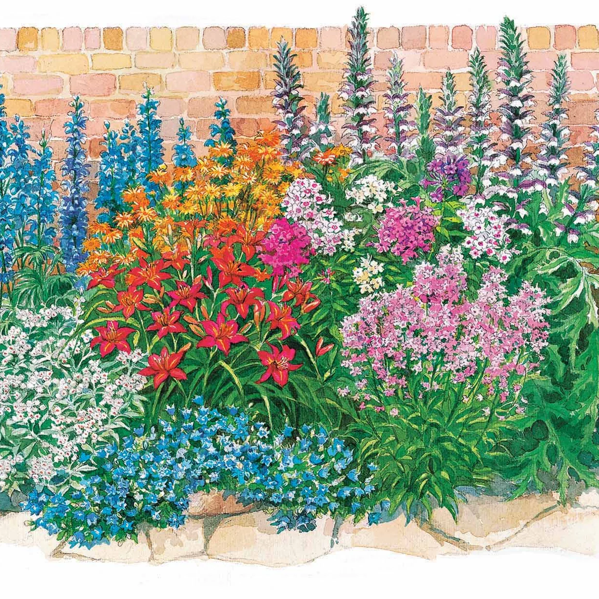 Le massif été fleuri - 18 plantes vivaces - Superficie environ 2 m² - Image 2