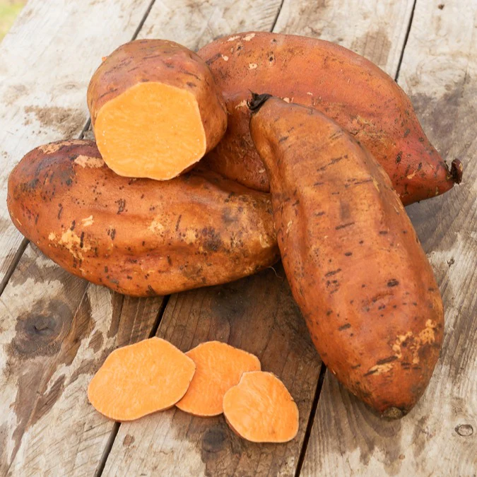 Patate douce
