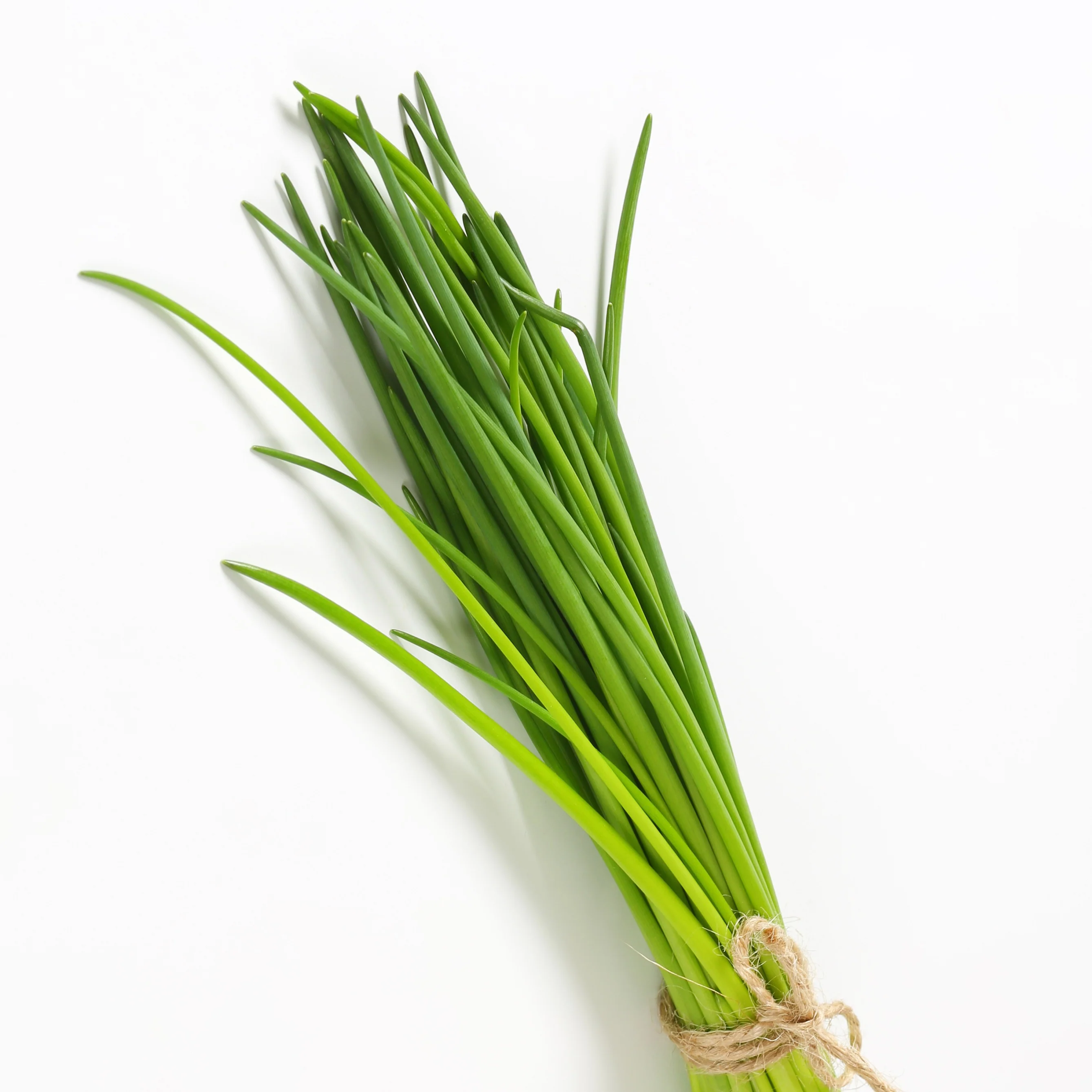 Plant de Ciboulette - Image 2