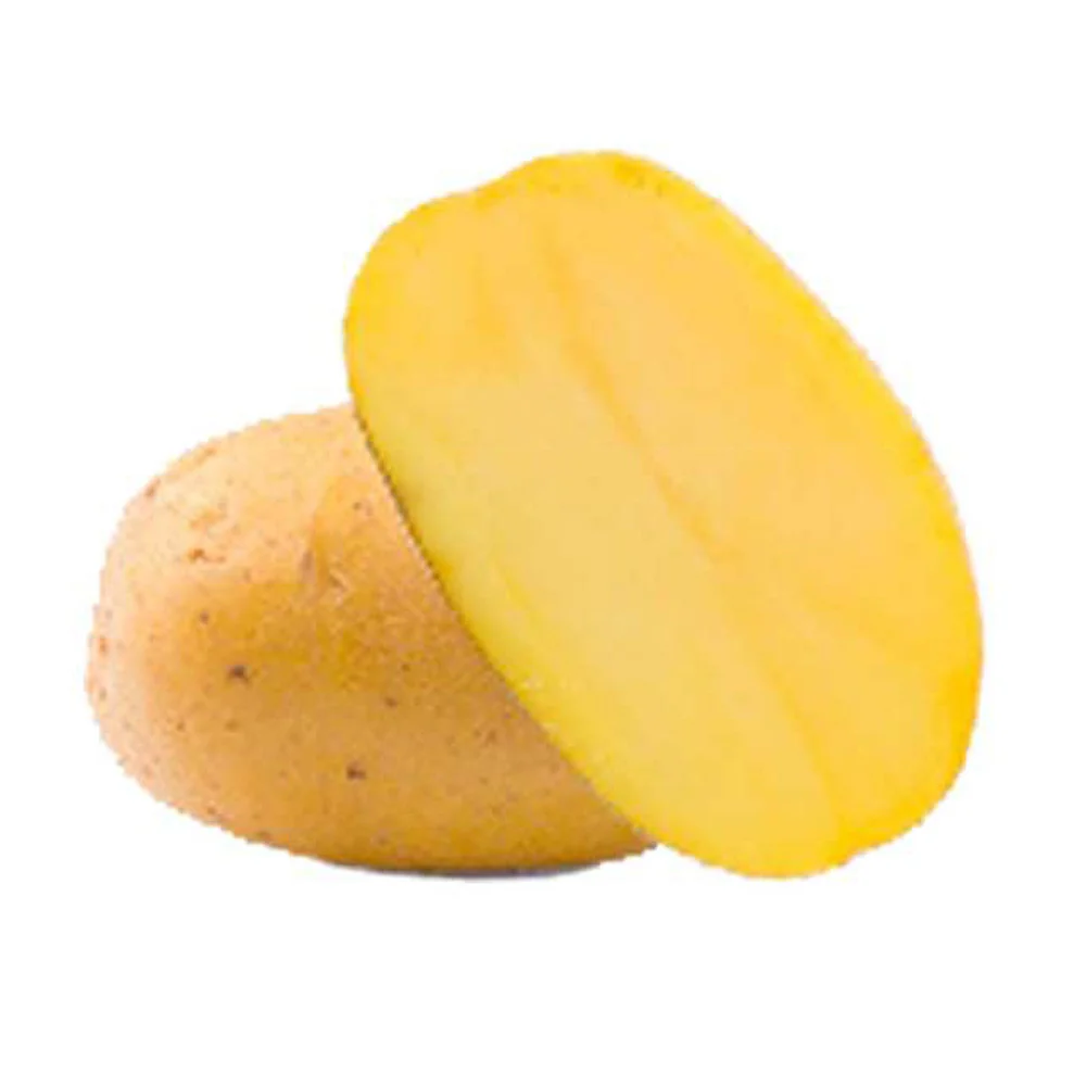 25 Pommes de terre Goldmarie Bio