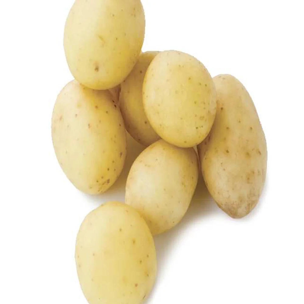 25 Pommes de terre Penni Bio