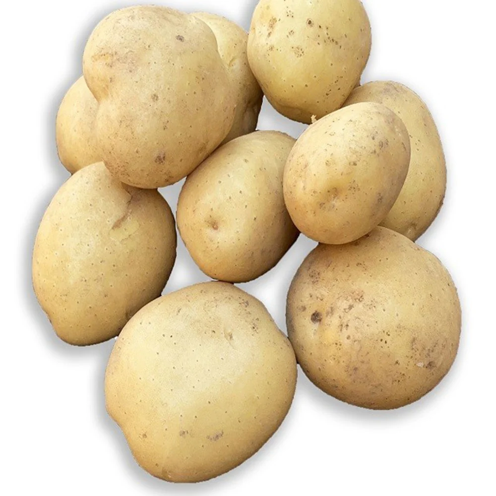 25 Pommes de terre Vitabella Bio - Image 2