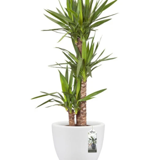 Pot Pure Soft Round blanc ELHO - Image 2