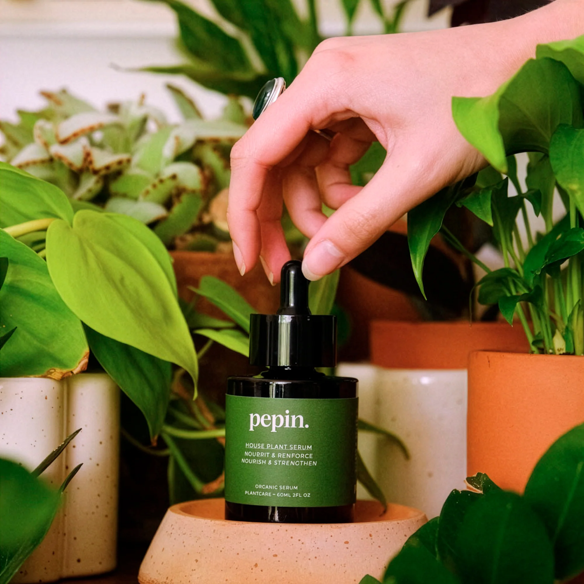 Sérum nourissant Plantes vertes - Image 4