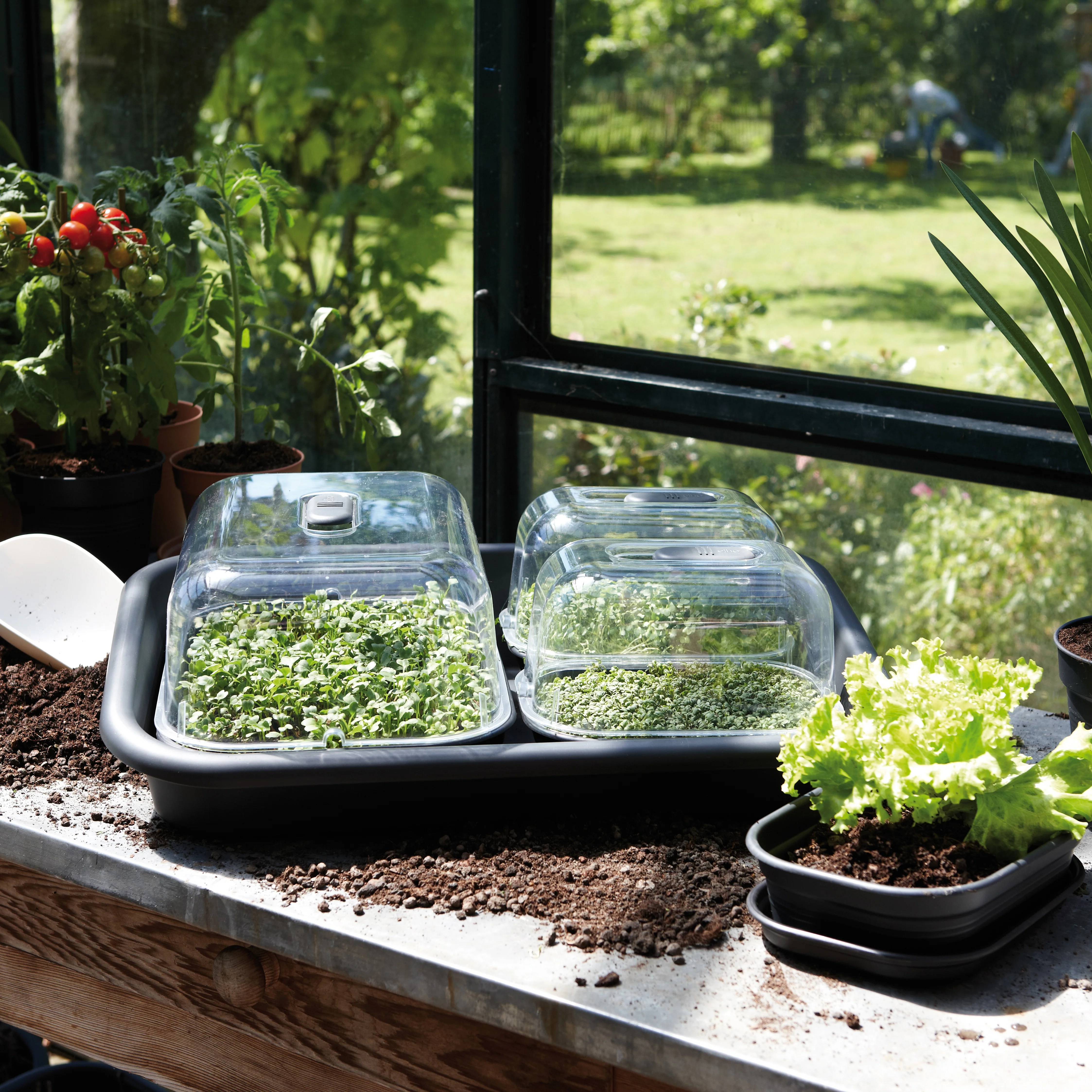 Soucoupe Green Basic Propagation ELHO - Image 4